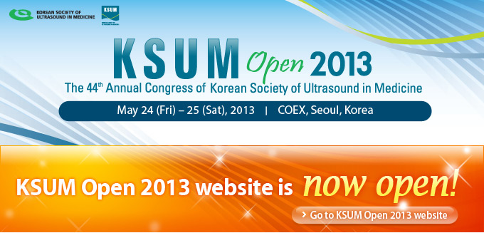 KSUM Open 2013